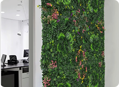 office green wall