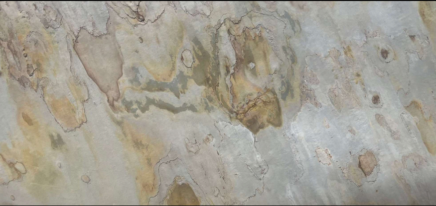 Indian Autumn Stone Veneer 