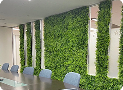Vertical Garden